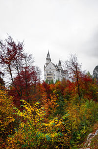 Low angle view of trees and buildings against sky