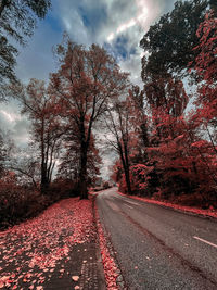 Empty road along trees during autumn