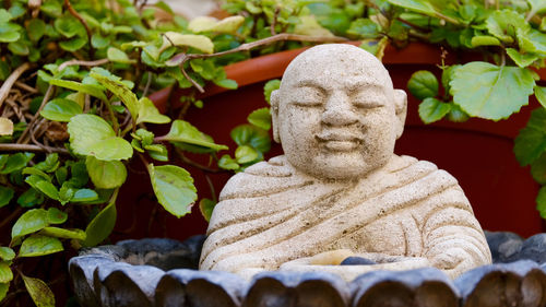 Buddha figure on a natural background with plants.