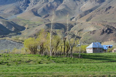 Scenic view of rural landscape