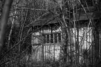 Old built structure with trees in background