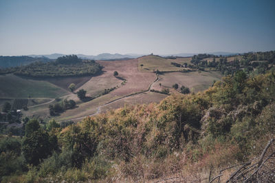 Scenic view of landscape against clear sky