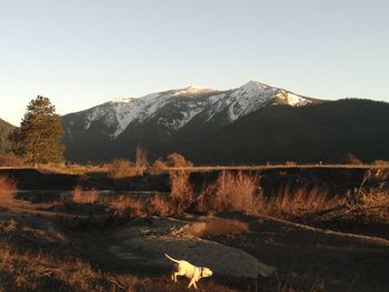 Scenic view of lake and mountains against clear sky