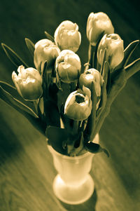 Close-up of flowers