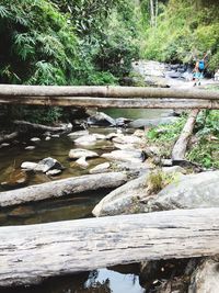 Stream flowing through rocks in forest