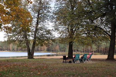 People sitting on bench in park during autumn