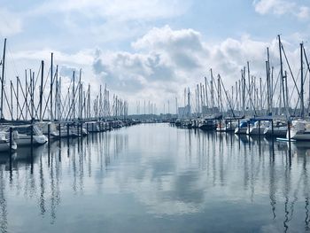 Sailboats in marina