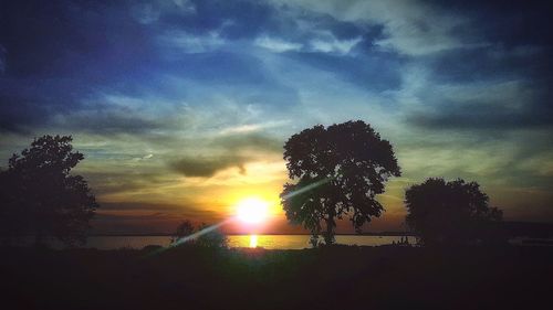 Silhouette trees against sky during sunset