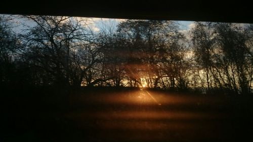 Close-up of silhouette trees against sky during sunset