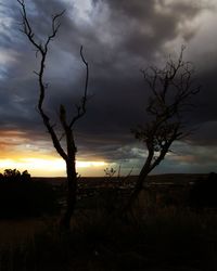 Silhouette of bare tree in field against cloudy sky