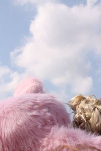 Close-up of dog against clear sky