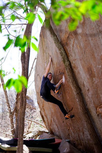 Low angle view of man climbing rock against tree at forest