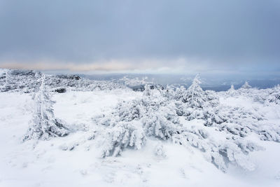 Snow covered landscape against sky