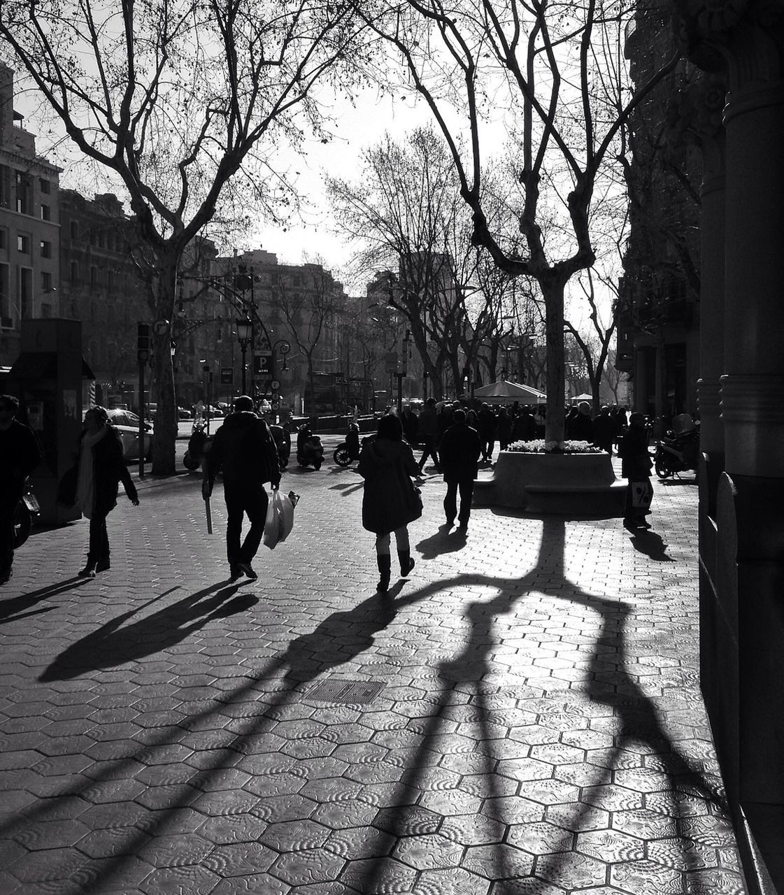 building exterior, city, tree, architecture, street, built structure, men, transportation, walking, city life, person, lifestyles, sidewalk, shadow, sunlight, car, mode of transport, land vehicle, city street