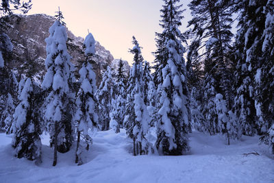 snow