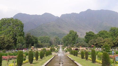 Panoramic view of trees and mountains against sky