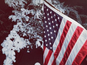 Close-up of flag against blurred background