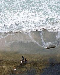 People standing on beach