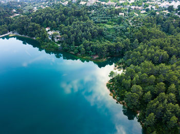 High angle view of trees in forest against sky