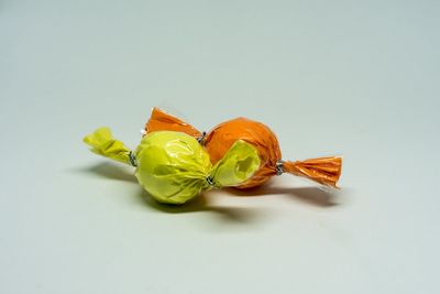 High angle view of leaves against white background