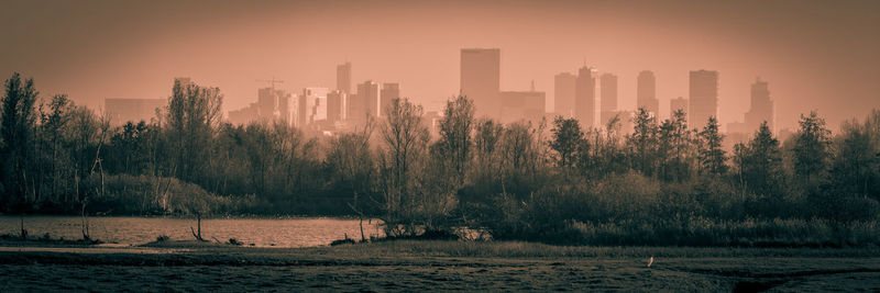 City skyline of rotterdam 