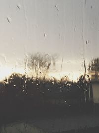 Close-up of water drops on window