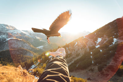 Cropped image of man feeding bird against mountain during sunny day 