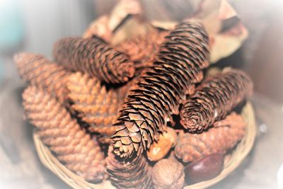 Close-up of dessert in plate on table