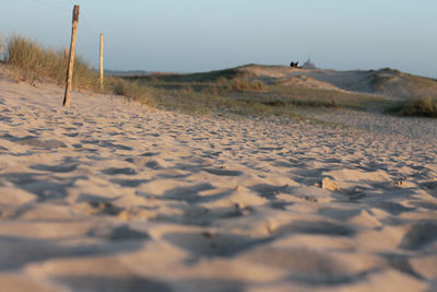 Surface level of land on beach against sky