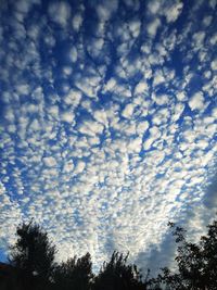 Low angle view of trees against cloudy sky