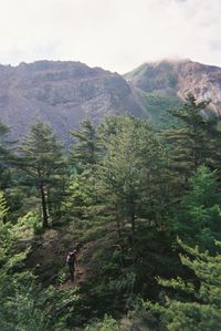 mountain