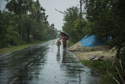 Man walking on wet road amidst trees