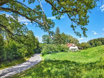 Trees on field against sky