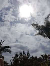 Low angle view of palm trees against cloudy sky