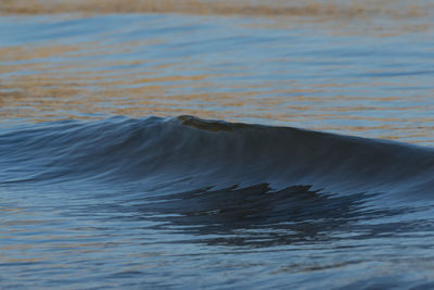 Close-up of water 