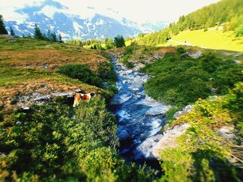 Scenic view of green landscape against sky