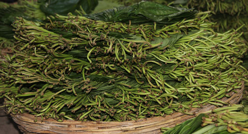 High angle view of leaves in a basket