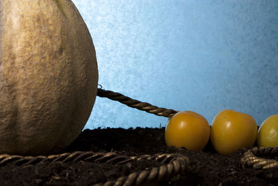 Close-up of oranges