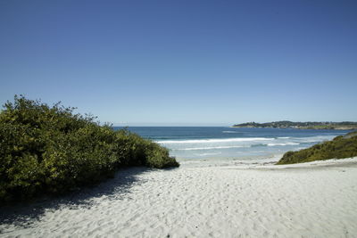 Scenic view of beach against clear blue sky