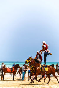 Man riding horses on horse against sky