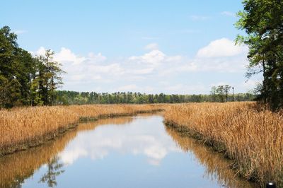 Scenic view of rural landscape