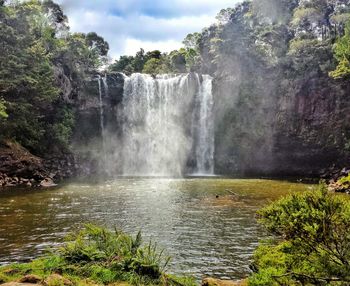 Scenic view of waterfall in forest