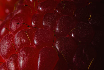 Close up shot of berries