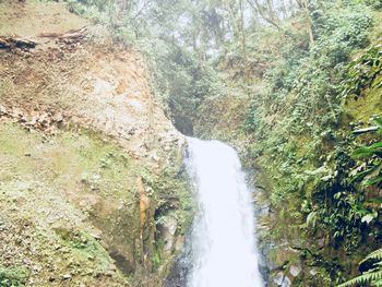 Scenic view of waterfall in forest