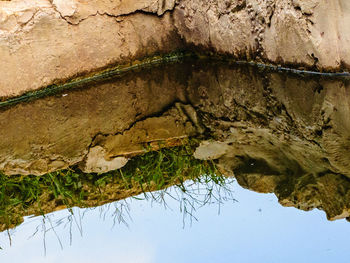 High angle view of leaf in lake