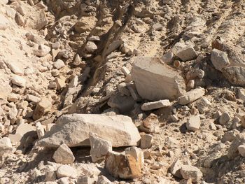 Rocks on rocky surface