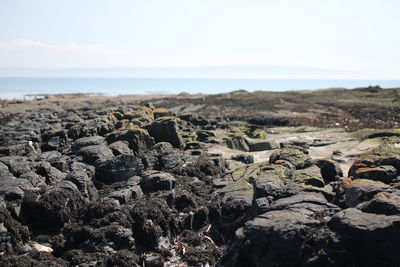 Close-up of rocks by sea against sky