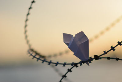 Close-up of paper on barbed wire against sky during sunset