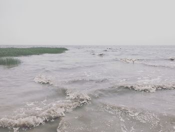 Scenic view of beach against clear sky