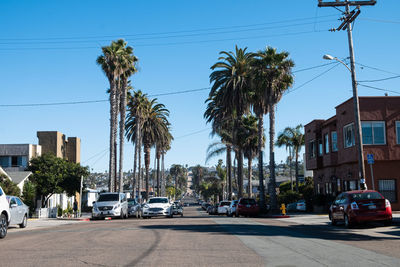 Cars on street by palm trees against sky in city